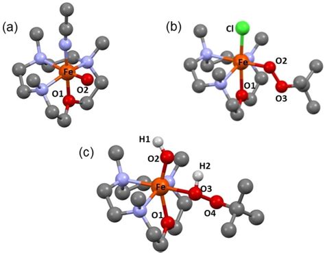 Dft Optimized Structures Of A 2 B 3 Cl And C 5 The Hydrogens Download Scientific