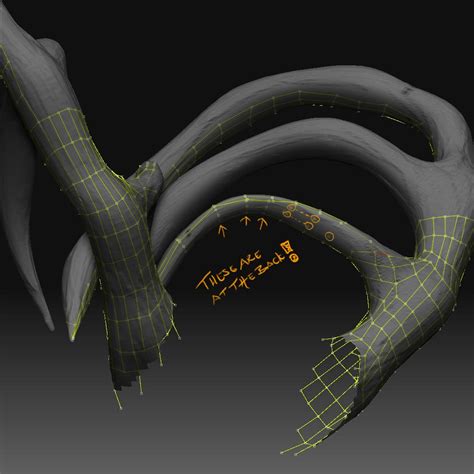 Retopology Problem ZBrushCentral