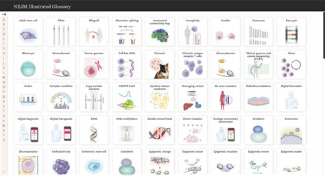 The New England Journal Of Medicine S NEJM Illustrated Glossary