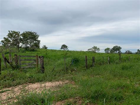 FAZENDA A VENDA EM DOM AQUINO MT