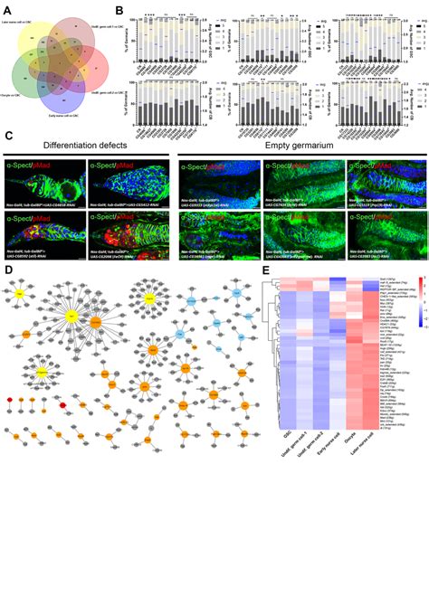 Construction Of The Gene Regulatory Network In GSCs A A Venn Diagram