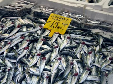 4 Manfaat Ikan Tenggiri Untuk Kesehatan Yang Harus Kamu Ketahui