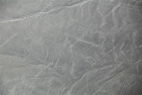 Vista Aérea De Las Líneas De Nazca Geoglifo Mono Perú 2022