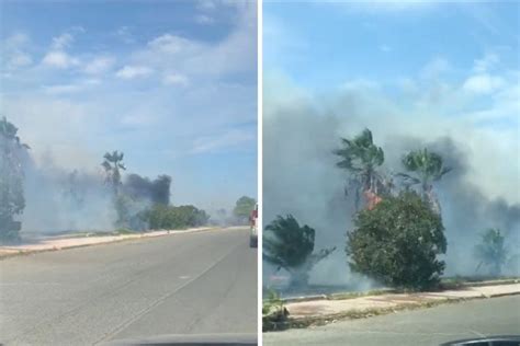 Ancora Paura Nell Alto Jonio Cosentino Vasto Incendio Sul Lungomare Di