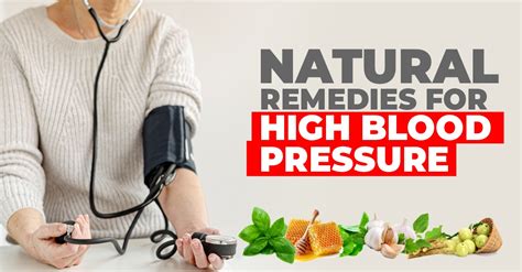 Herbal Remedies For High Blood Pressure At Harold Parker Blog