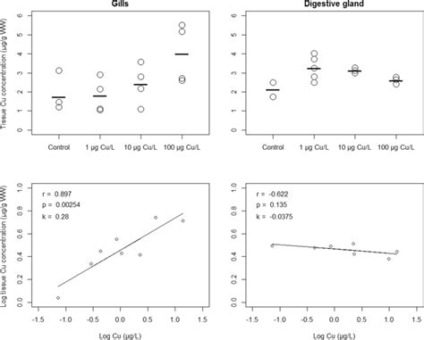 Cu Concentration μg G Ww In Gill Upper Left And Digestive Gland Download Scientific Diagram