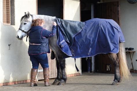 9 Top Tips For Making Your Horses Rugs Last Longer Your Horse