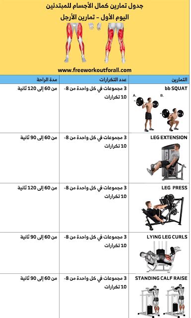 جدول تمارين كمال الاجسام للمبتدئين Workout Plan For Beginners