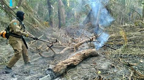 Após quatro dias Corpo de Bombeiros controla focos de incêndio no