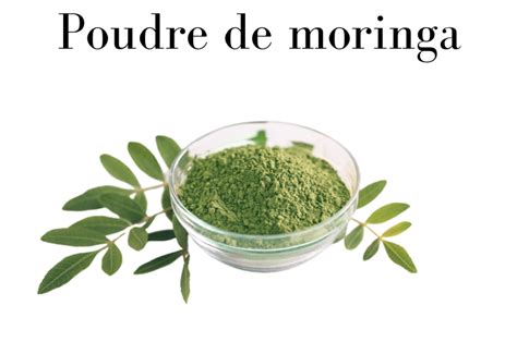 Masque capillaire Neem Moringa Amla 200ml Kaz à Beauté