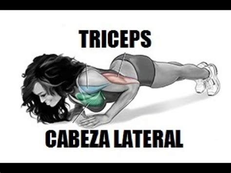 Ejercicios Para Desarrollar La Cabeza Lateral De Los Triceps YouTube