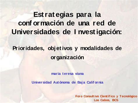 Pdf Estrategias Para La Conformaci N De Una Red De Estrategias Para