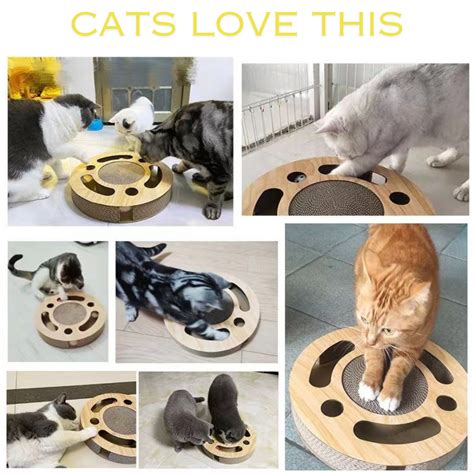 Interactive Maze & Scratch Cardboard Cat Toys – Pawpycup