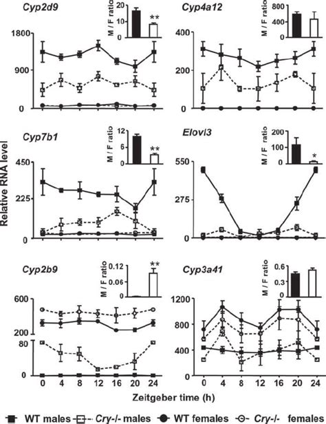 The Sex Dimorphism In Gene Expression Is Reduced In The Liver Of Cry