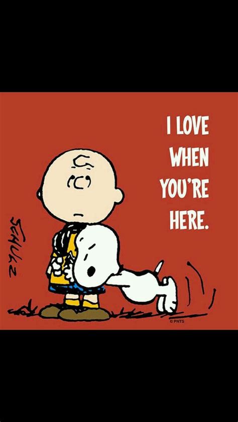 Pin By Crystal Cope On Peanuts Gang Snoopy Quotes Charlie Brown And Snoopy Snoopy