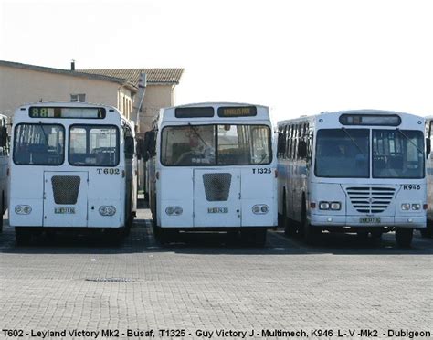 Eastern Cape Buses