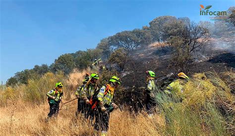 Controlados Los Dos Incendios Declarados En La Zona De Escalona Toledo