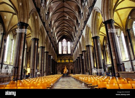 Salisbury Wiltshire England Salisbury Cathedral Stock Photo Alamy