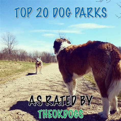 Top 20 Dog Parks In America The Ok Dogs