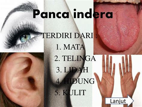 panca indra powerpoint    id