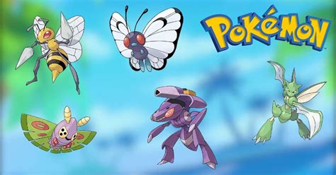 Bug Pokemon Trainer S Field Guide