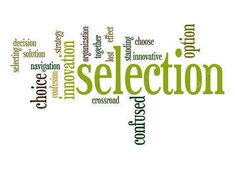 Selection Word Cloud Tagcloud, Solution, Decision, Innovation PNG