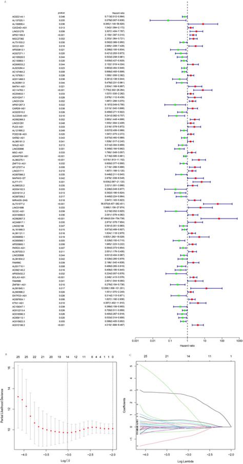 Frontiers Cuproptosis Related LncRNA Signatures Predict Prognosis And