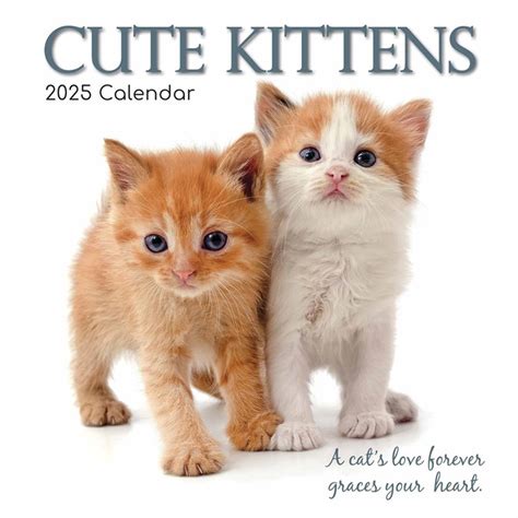 Cute Kittens Calendar