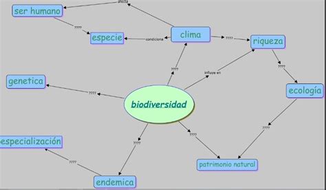 Best Un Mapa Conceptual De La Biodiversidad Simple Mapa Mentos Porn