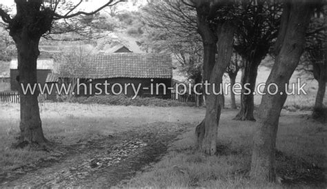 Street Scenes Great Britain England Essex Hainault Forest The