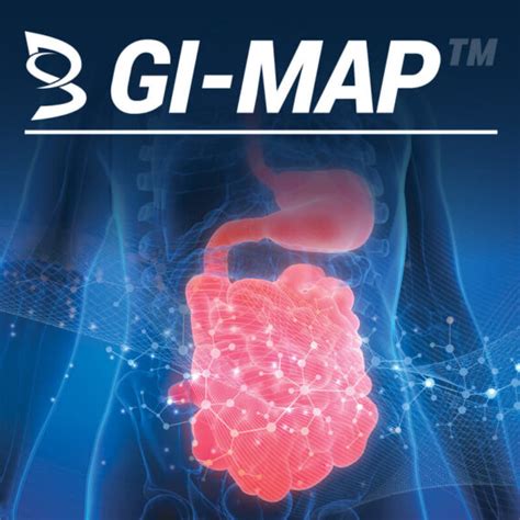 Gi Map Test Gi Microbial Assay Plus Gut Health Test Dfh