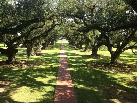 Oak Alley New Orleans Louisiana - Free photo on Pixabay - Pixabay