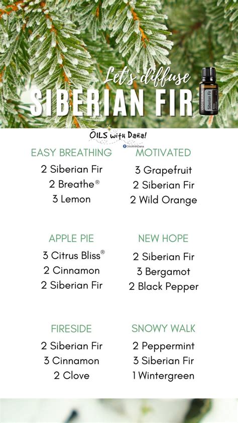 Diffuser Blends For Your Siberian Fir Oilswithdana Investinyo In