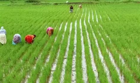 Under Agricultural Development Scheme Barren Lands Can Be Converted