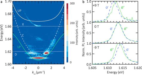 Polariton Dispersion Relation And Valley Zeeman Effect A Dispersion