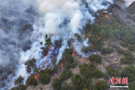 四川雅江森林火灾扑救工作正在紧张进行 国内动态 华声新闻 华声在线