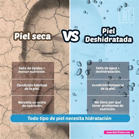 Conoces La Diferencia Entre Tener La Piel Seca Y La Piel Deshidratada