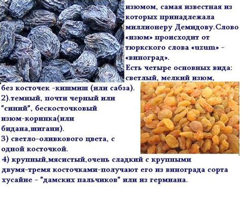 Что такое изюм и из чего: польза и вред для организма мужчин, женщин, детей