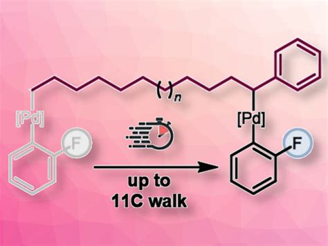 Remote Arylation Using A Palladium Dimer Chemistryviews