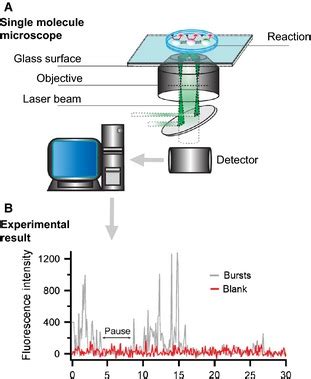 A Single Molecule Fluorescence Microscope Can Read Out The Turnover Of