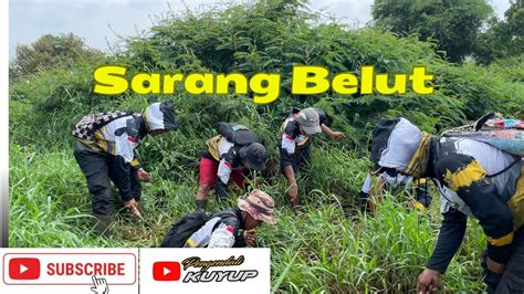 Mancing Belut Spot Di Belakang Cibinong City Mall Dapat Babon Sarboah