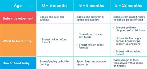 Lab Feeding Chart By Age