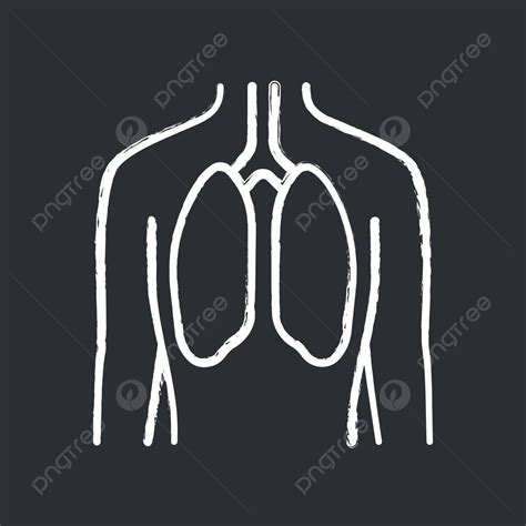 Healthy Lungs Chalk Icon For Respiratory Wellness Vector Trachea Health