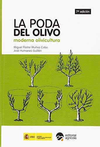 La Poda Del Olivo Moderna Olivicultura Edicion Fondo Pastor