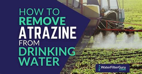 How To Remove Atrazine From Water Top Methods