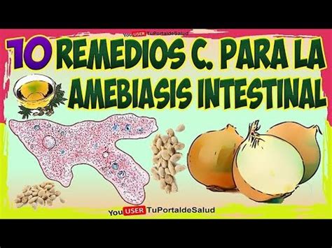 Remedios Caseros Para La Amebiasis Intestinal Como Acabar Con La