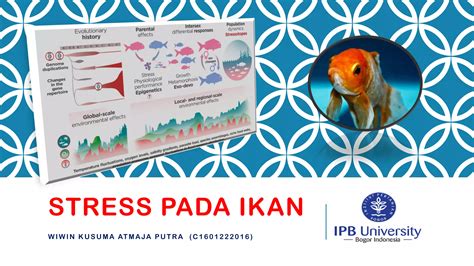 Stress Pada Ikan Wiwin Pdf