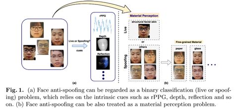 人脸活体检测算法：基于人体纹理感知的双边卷积网络bcn——face Anti Spoofing With Human Material