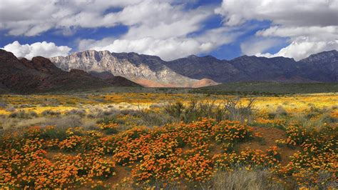 In El Paso Locals Want Cherished Mountains To Gain National Monument