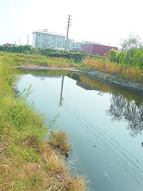 市区一景观河变臭水沟 上级检查就撒石灰 搜狐新闻